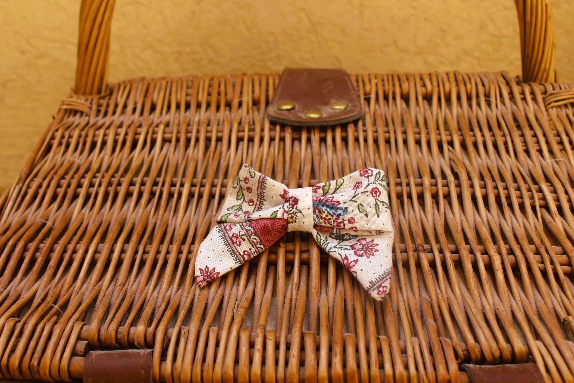 Petite barrette, Thelma