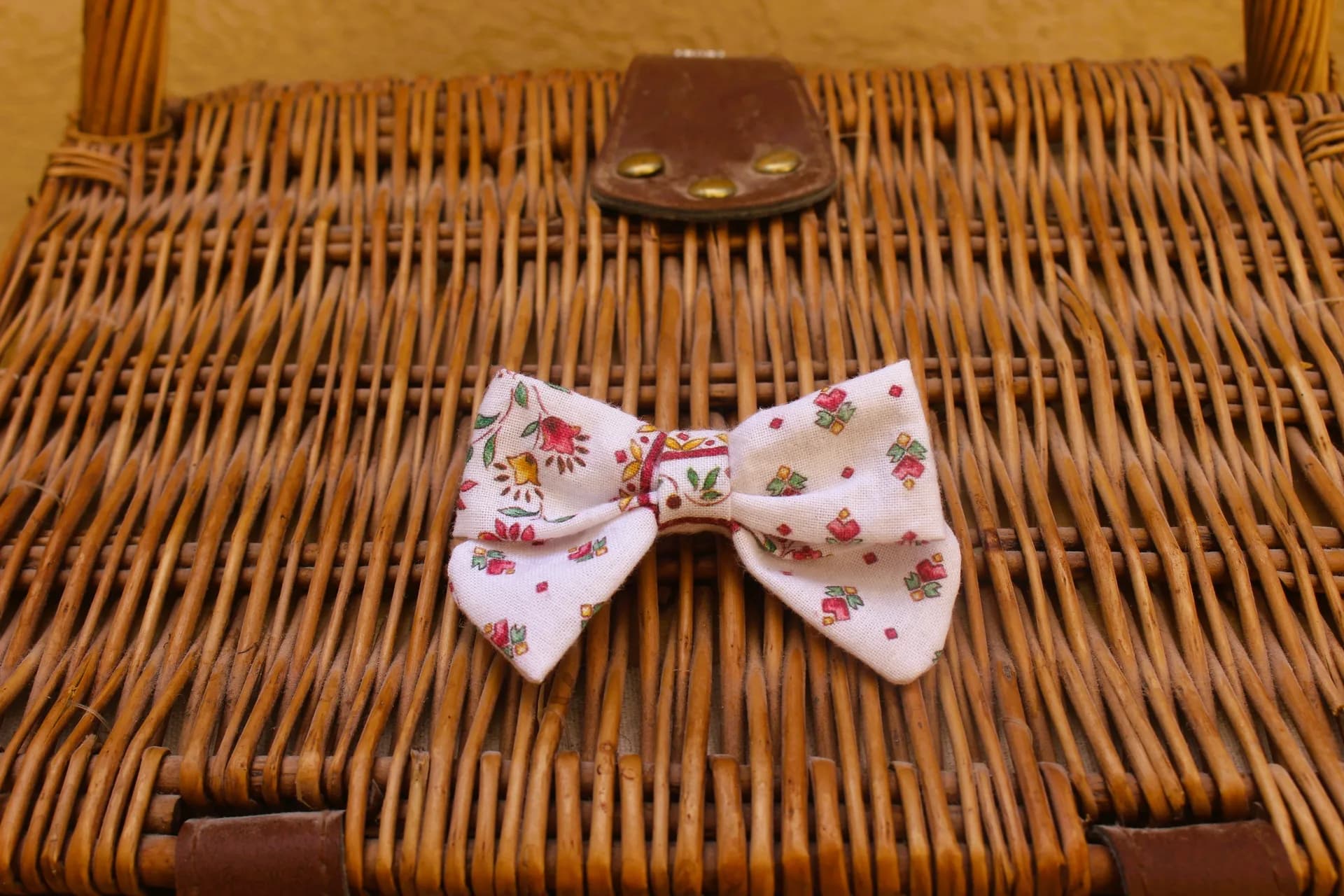 Petite barrette, Adélaïde